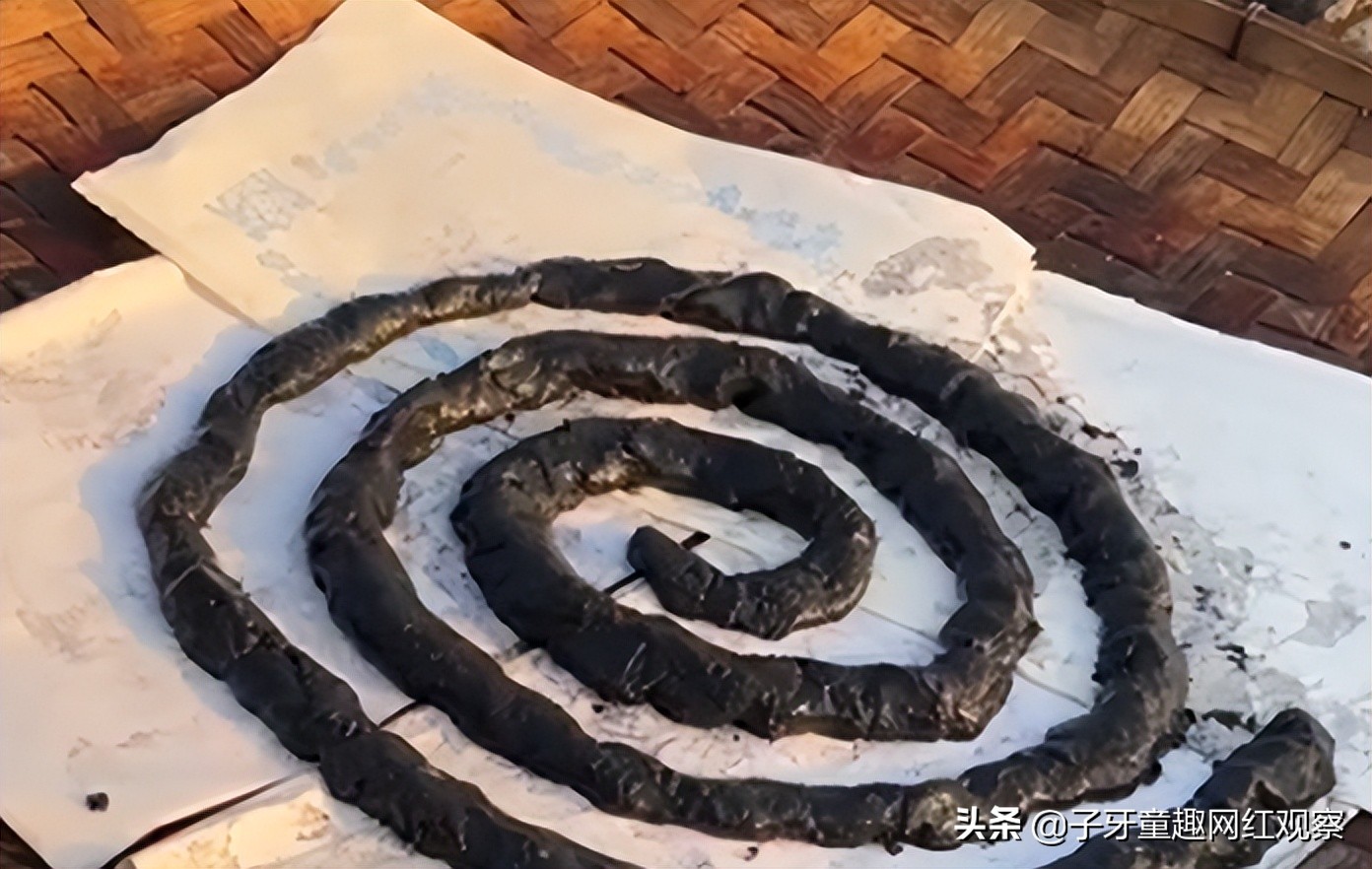 云南老汉老杨 黑暗料理 网红_云南做黑暗料理网红,